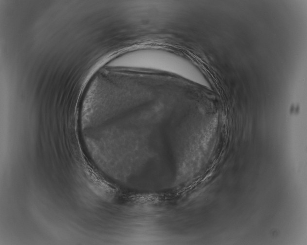 X0000088880100200706291613