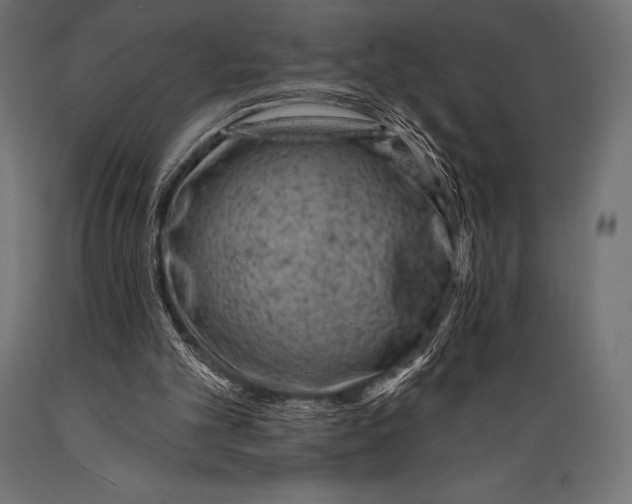 X0000088880101200706291613