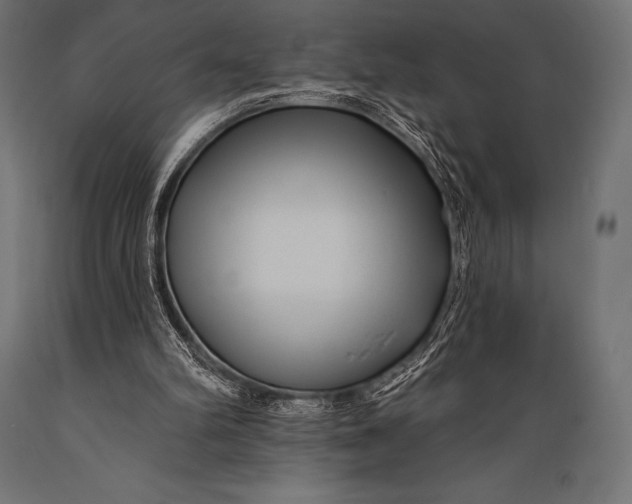 X0000088880102200706291613