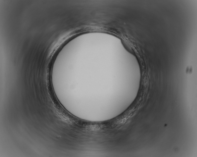 X0000088880103200706291612