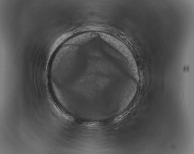 X0000088880104200706291612