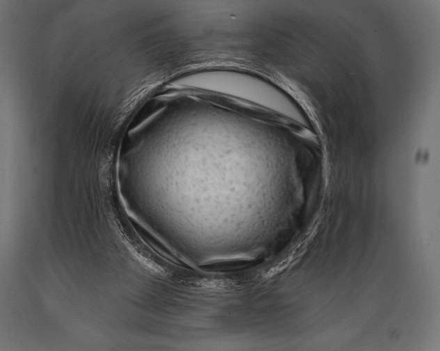 X0000088880105200706291612