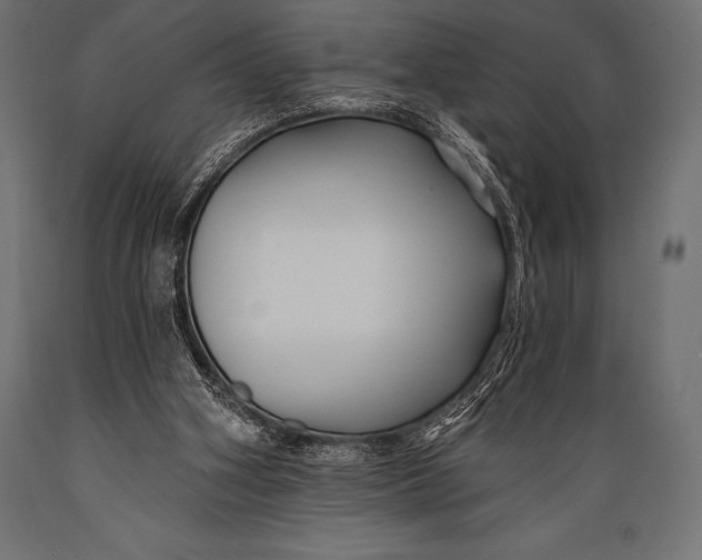 X0000088880106200706291612