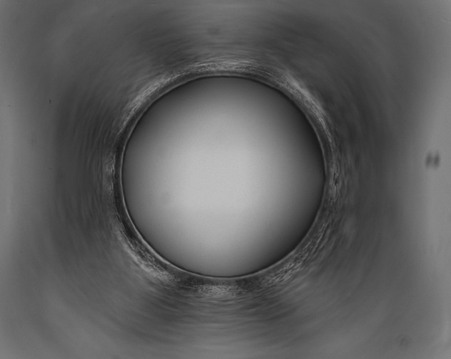 X0000088880107200706291612