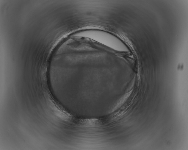 X0000088880108200706291612