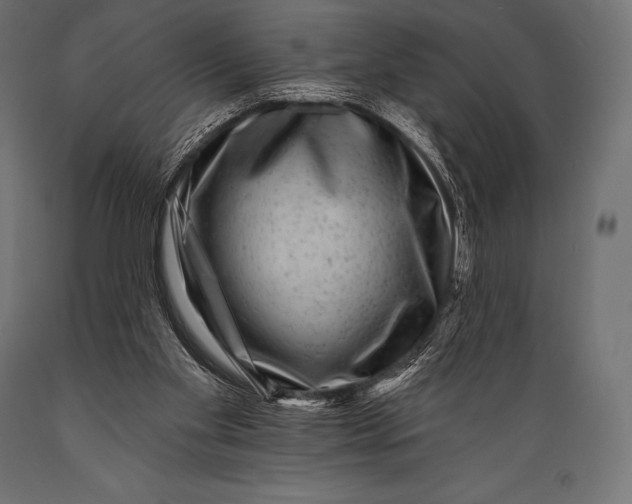 X0000088880109200706291612