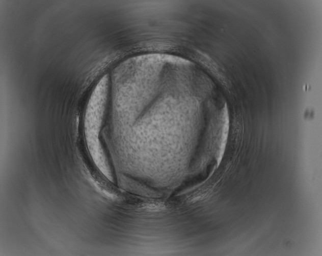 X0000088880110200706291612