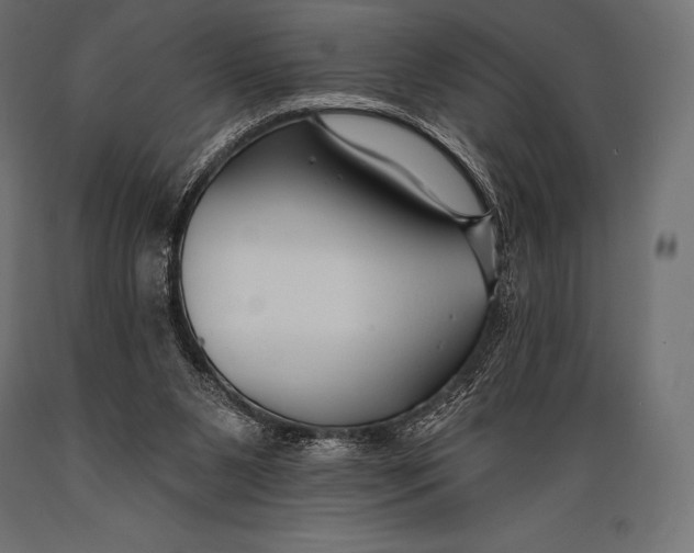 X0000088880111200706291612