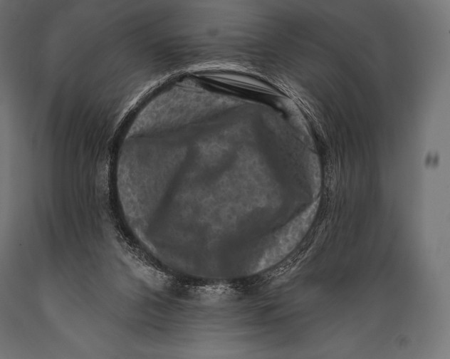 X0000088880112200706291612