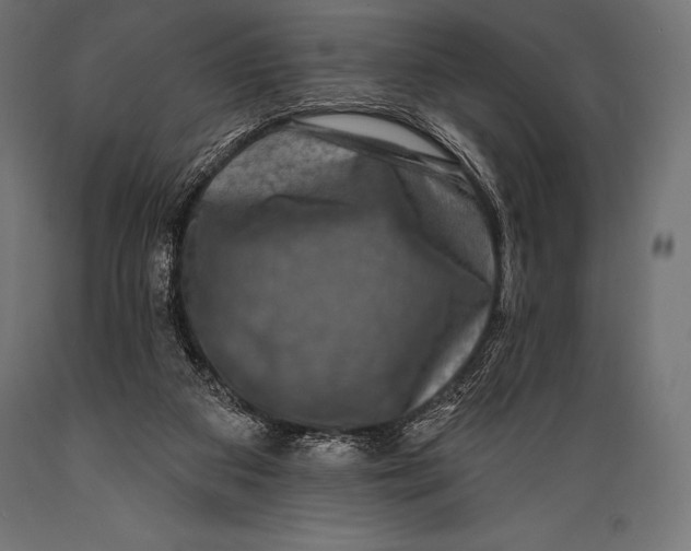 X0000088880113200706291612