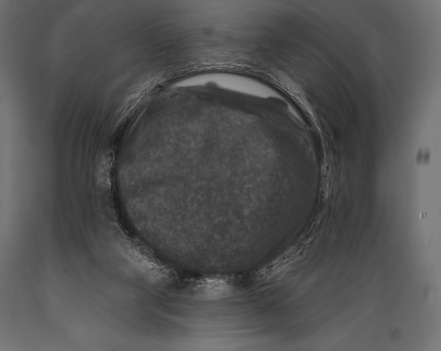 X0000088880114200706291612