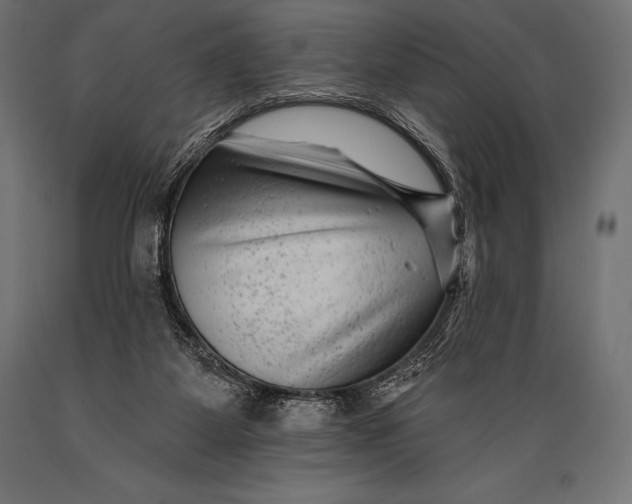 X0000088880115200706291612