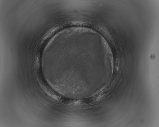 X0000088880116200706291612