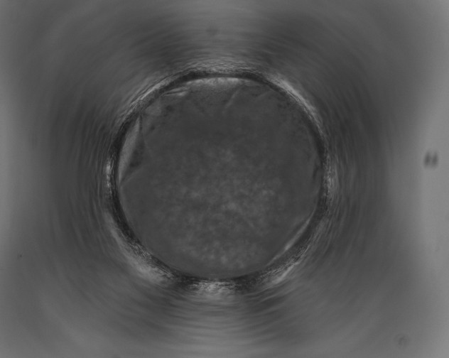 X0000088880117200706291612