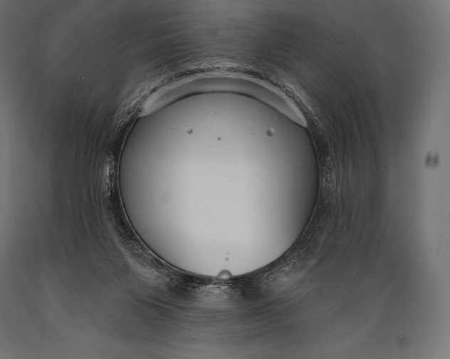 X0000088880119200706291612