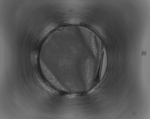 X0000088880120200706291612