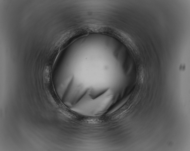 X0000088880121200706291612