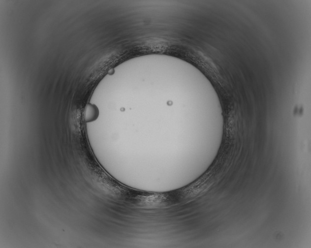 X0000088880122200706291612