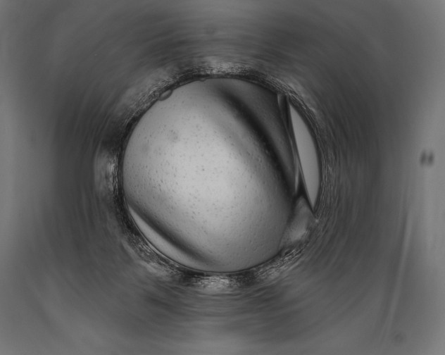 X0000088880123200706291612