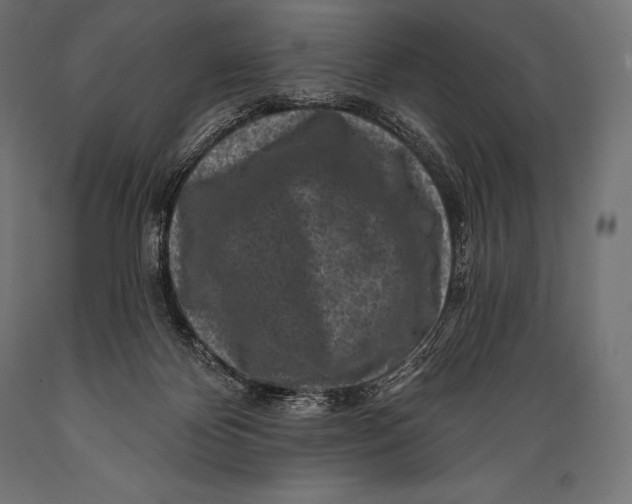 X0000088880124200706291612
