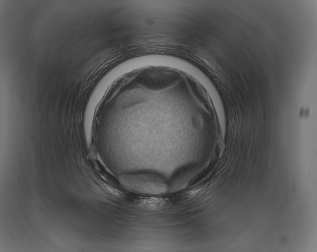 X0000088880125200706291612