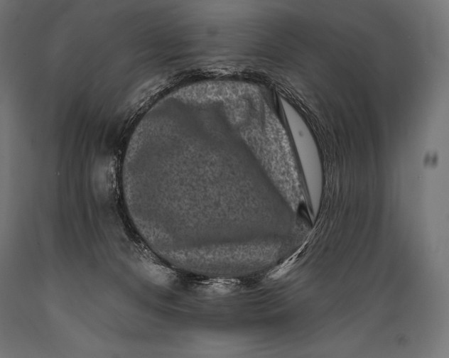 X0000088880128200706291612