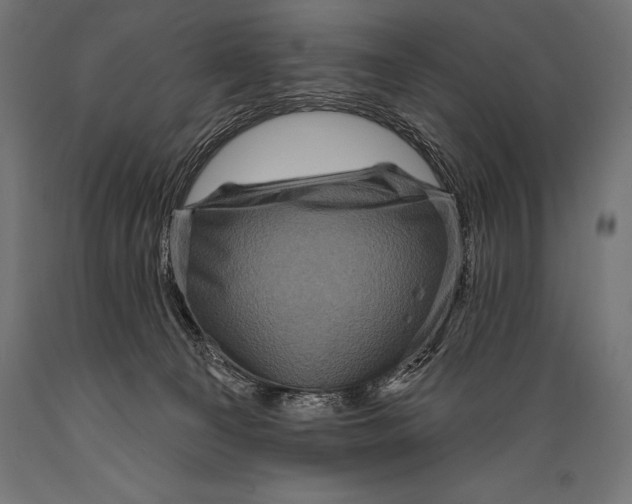 X0000088880129200706291612