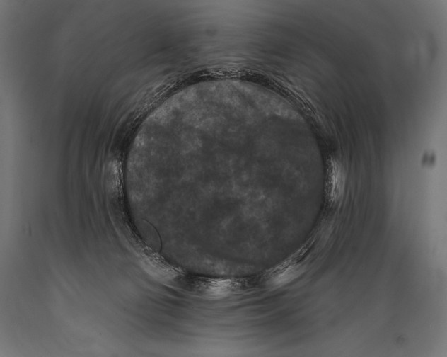 X0000088880130200706291612