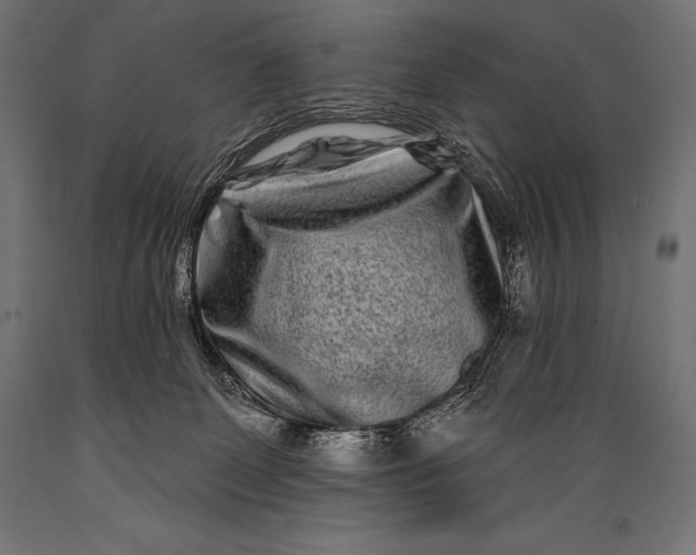 X0000088880131200706291612