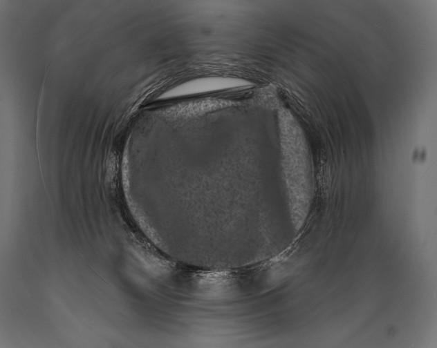 X0000088880132200706291612