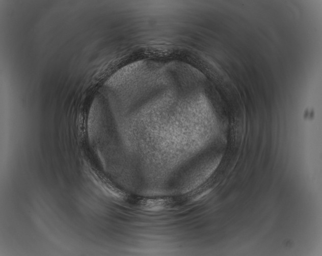 X0000088880134200706291612