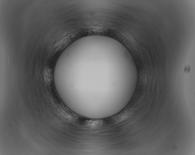 X0000088880135200706291612