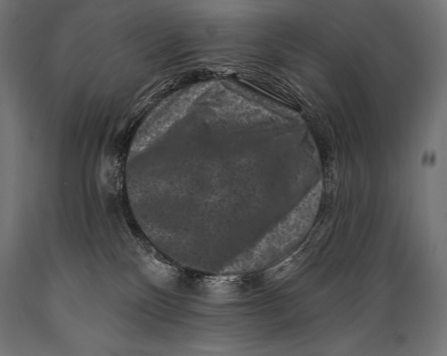 X0000088880136200706291612