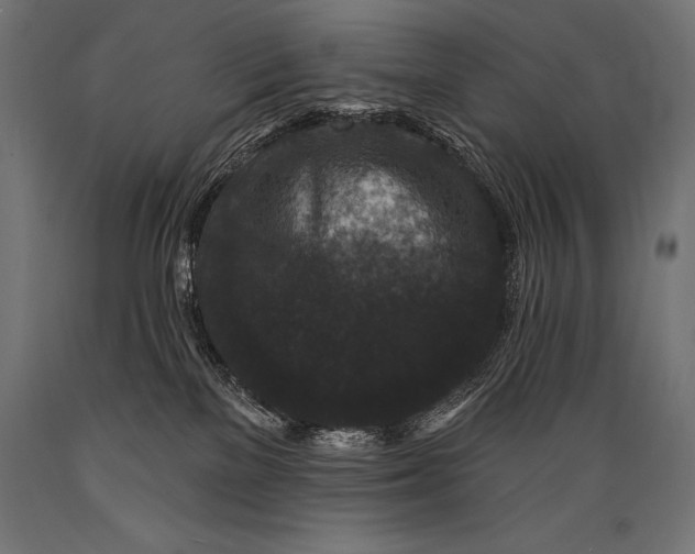 X0000088880137200706291612