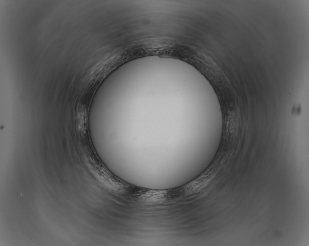 X0000088880138200706291612