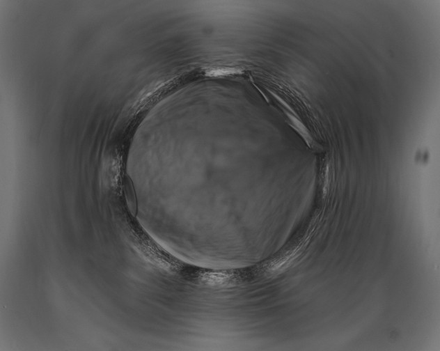 X0000088880139200706291612