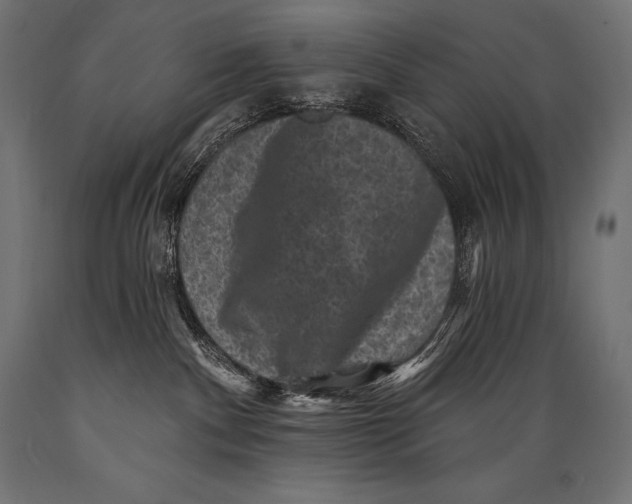 X0000088880140200706291612