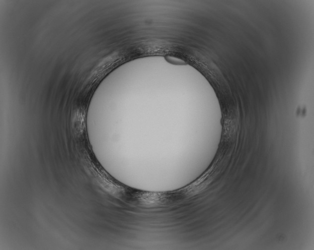 X0000088880142200706291612