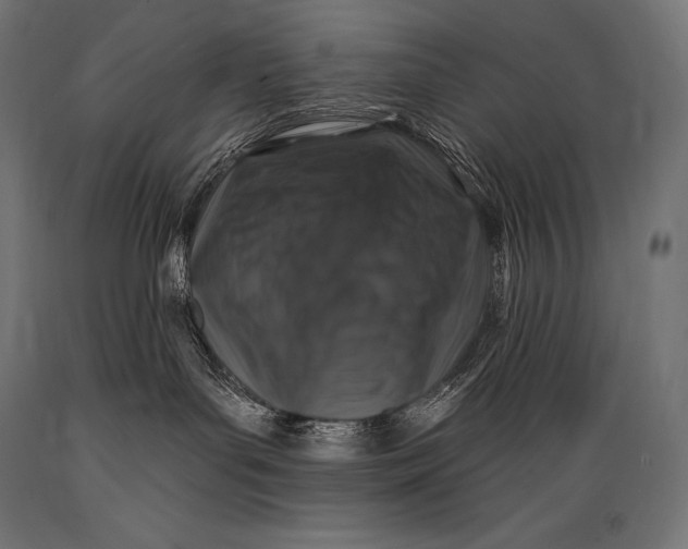 X0000088880143200706291612