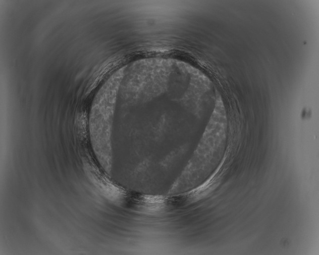 X0000088880144200706291612
