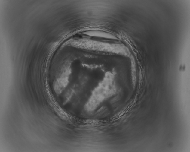 X0000088880145200706291611