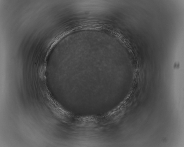 X0000088880146200706291611