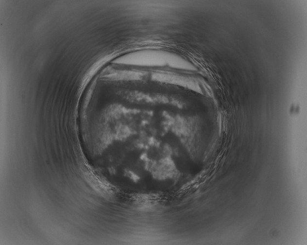 X0000088880147200706291611