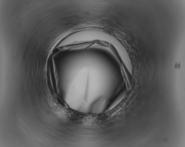 X0000088880148200706291611