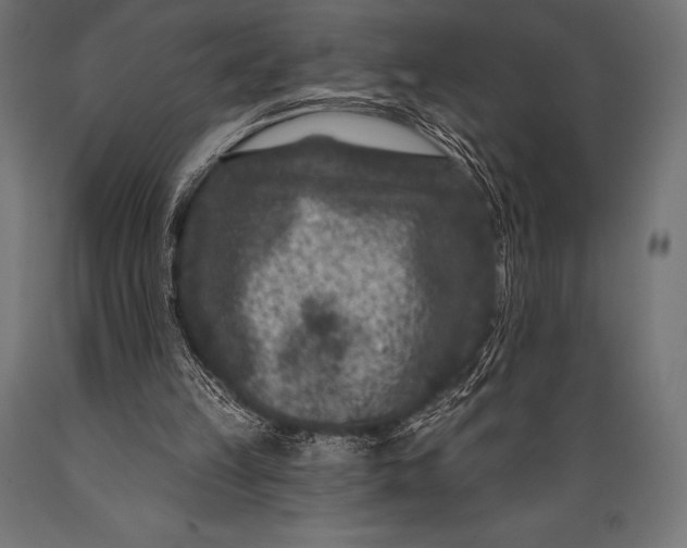 X0000088880149200706291611