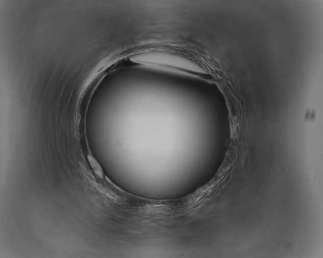 X0000088880150200706291611