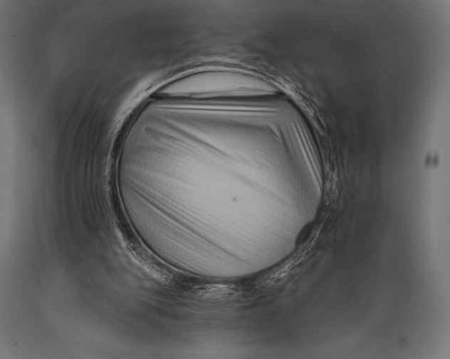 X0000088880151200706291611