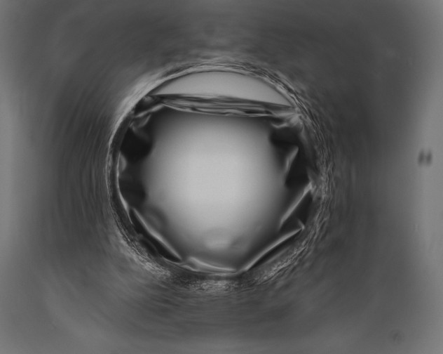 X0000088880152200706291611