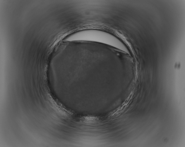 X0000088880154200706291611