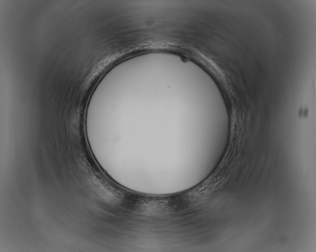 X0000088880155200706291611